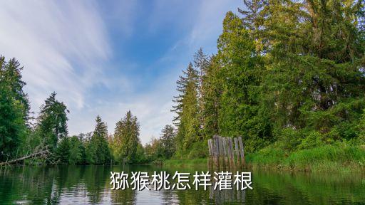灌根，什么是灌根如何操作