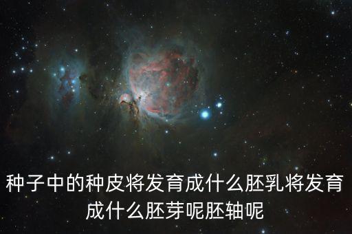 胚乳的作用，胚乳是种子中的结构小麦种子萌发后长出叶还有胚乳吗 或是