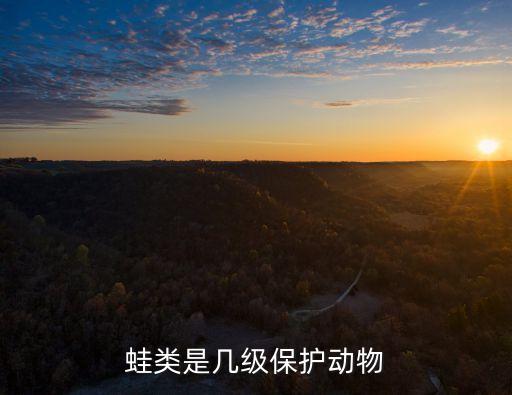 蛙类是几级保护动物