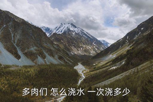 多肉们 怎么浇水 一次浇多少