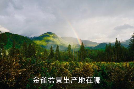 金雀盆景出产地在哪