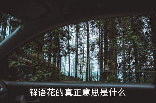 解语花是什么意思，解语之花什么意思