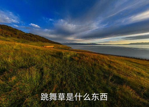 跳舞草，跳舞草是什么东西
