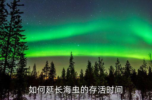 海虫，如何延长海虫的存活时间
