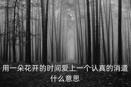 用一朵花开的时间爱上一个认真的消遣什么意思