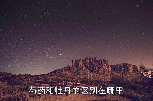 芍药和牡丹的区别在哪里