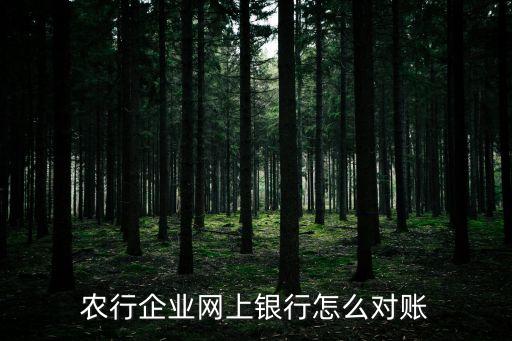 农行企业网上银行怎么对账