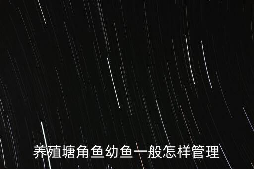 养殖塘角鱼幼鱼一般怎样管理