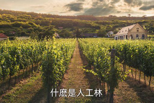什麽是人工林