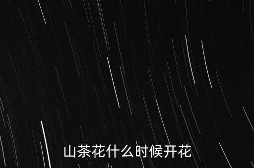 山茶花什么时候开花