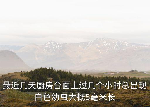 白色蠕虫，土壤里白色蠕动像蚕宝宝一样的虫是什么虫