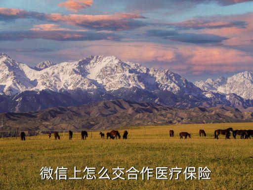 农业保险怎么在手机交，农村农合可以手机上交吗什么app