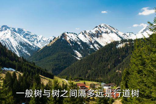 一般树与树之间隔多远是行道树