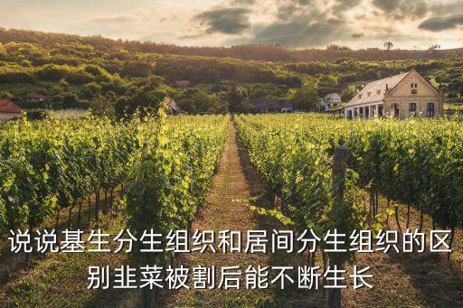 说说基生分生组织和居间分生组织的区别韭菜被割后能不断生长