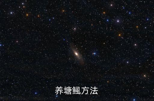养塘鲺方法