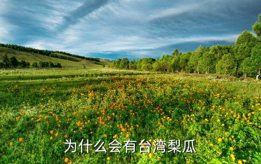 梨瓜，为什么会有台湾梨瓜