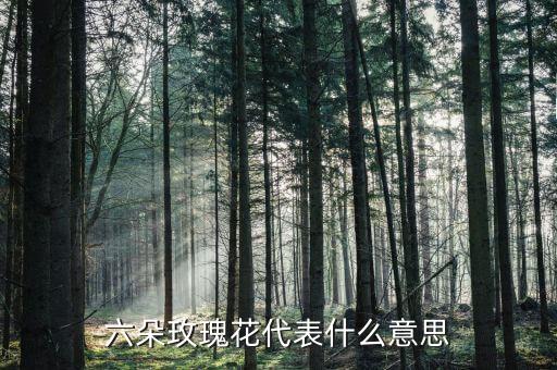 六朵玫瑰花代表什么意思，六朵玫瑰花代表什么意思