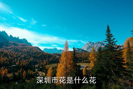 深圳市的市花是，深圳市市花是什么