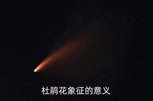 杜鹃花的寓意，杜鹃花象征的意义