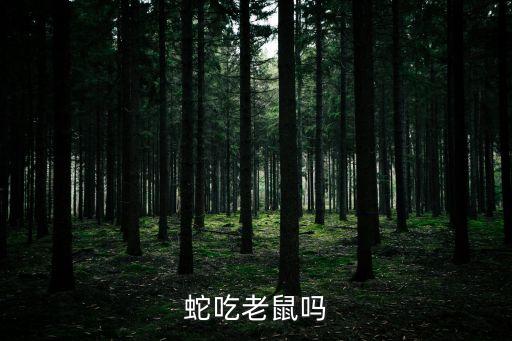 蛇吃老鼠吗