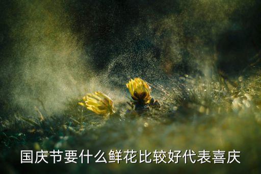 国庆花，国庆节要什么鲜花比较好代表喜庆