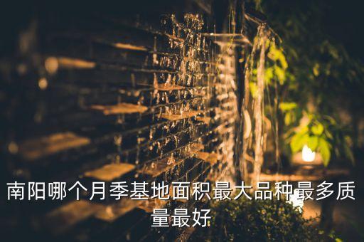 南阳月季花，南阳的月季好还是莱州的月季好为什么