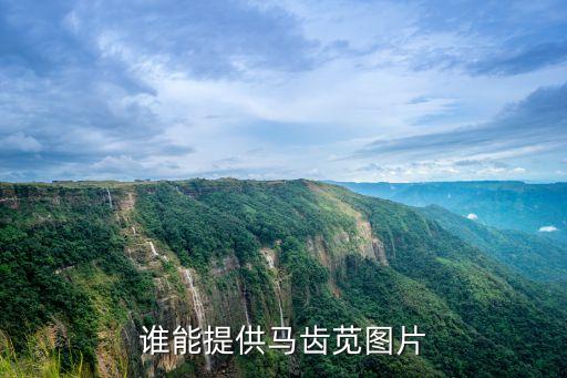 谁能提供马齿苋图片