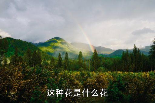 乔木绣球，这是什么花