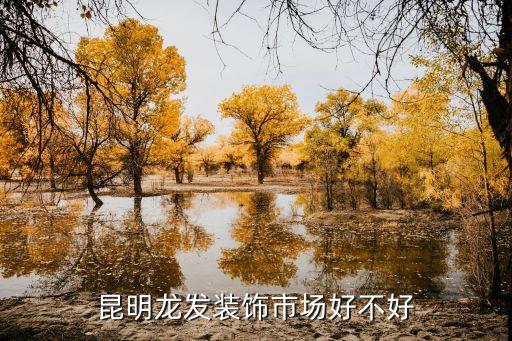 昆明龙发装饰市场好不好