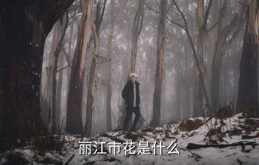 市花，昆明的市花是什么