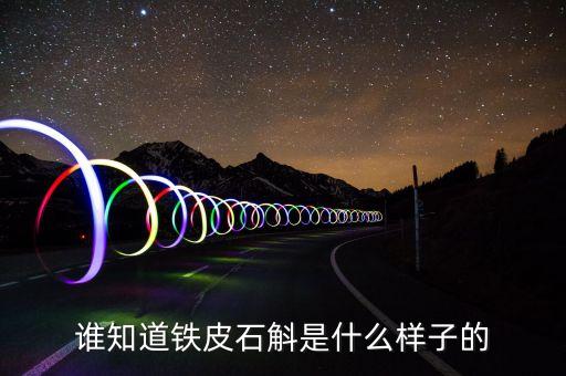 铁皮石斛图片，想问下下面那图片是不是铁皮石斛是铁皮石斛里面的哪种品种有什