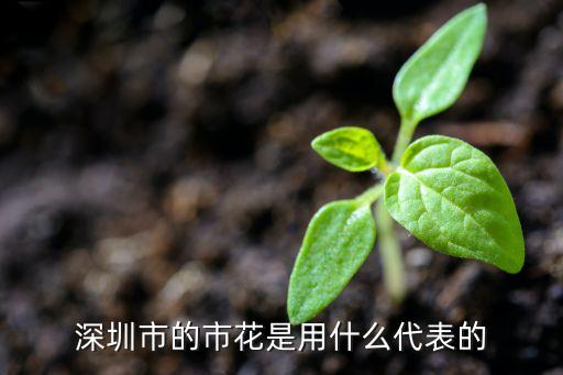 深圳市的市花是用什么代表的