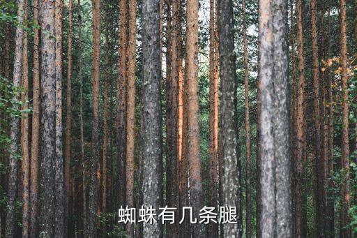 蜘蛛有几条腿