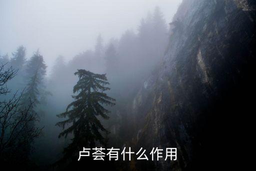 卢荟有什么作用