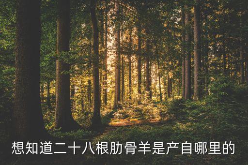 乌珠穆沁羊，二十八根肋骨羊跟乌珠穆沁羊有什么关系为什么要叫二十八根肋骨羊