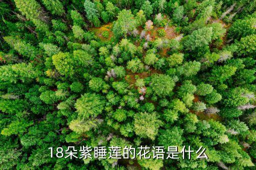 18朵紫睡莲的花语是什么