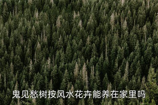 鬼见愁树按风水花卉能养在家里吗