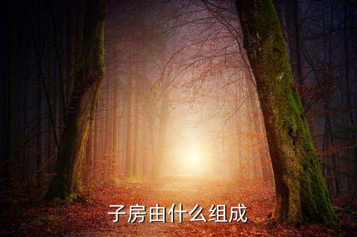 子房由什么组成
