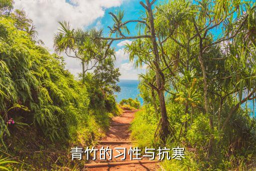 青竹的习性与抗寒