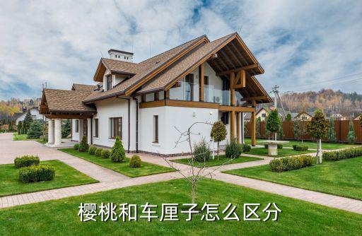 樱桃和车厘子区别，樱桃和车厘子怎么区分