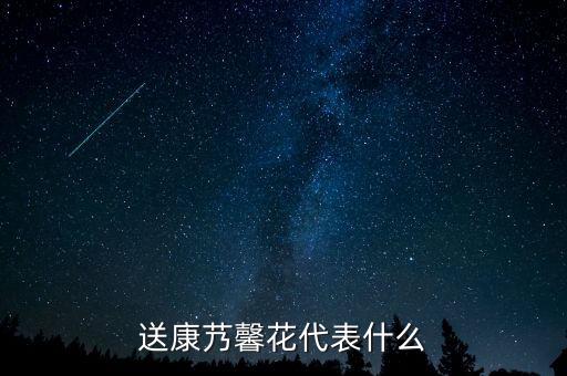 送康艿馨花代表什么