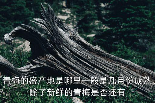青梅，青梅是什么意思