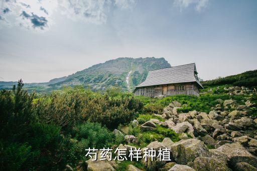 芍药怎样种植