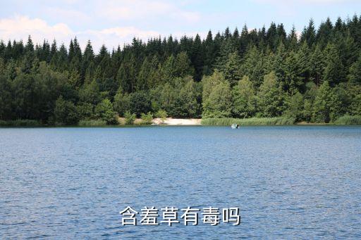 含羞草有毒吗