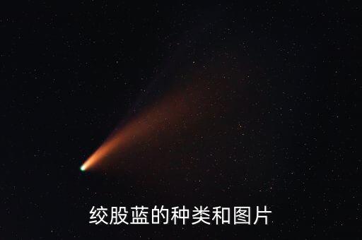 绞股蓝的种类和图片