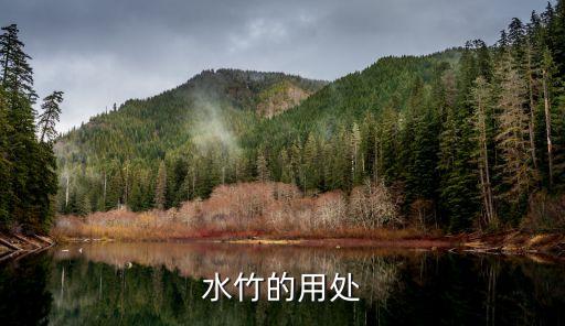 水竹，水竹的用处