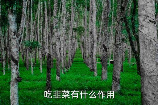 韭菜的作用与功效，韭菜有什么作用