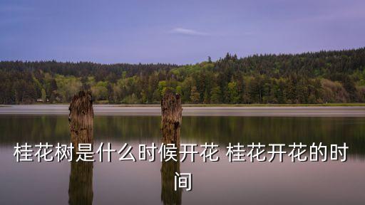 桂花树是什么时候开花 桂花开花的时间