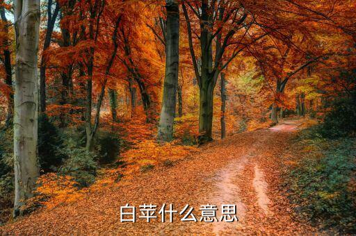 四叶菜，白苹什么意思