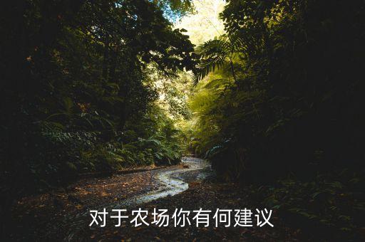 对于农场你有何建议